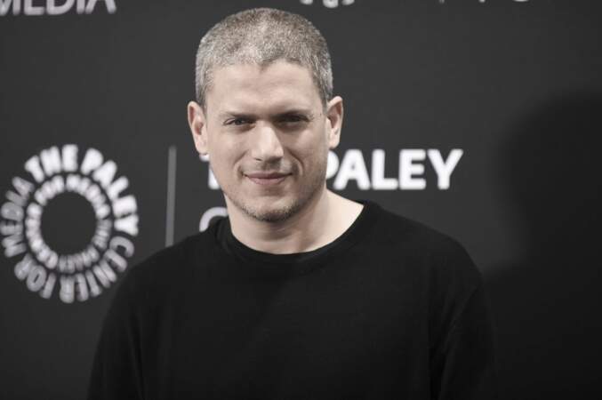 "Prison Break" servira de tremplin à Wentworth Miller qui se permettra quelques infidélités...  