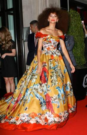 Zendaya a fait forte impression au MET Gala en 2017 avec une robe imposante.